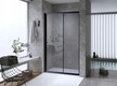 Drzwi prysznicowe 100 Black szkło dymione (3)